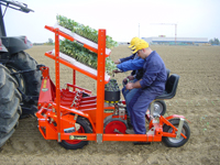 2011 Checchi E Magli Seedling Transplanters