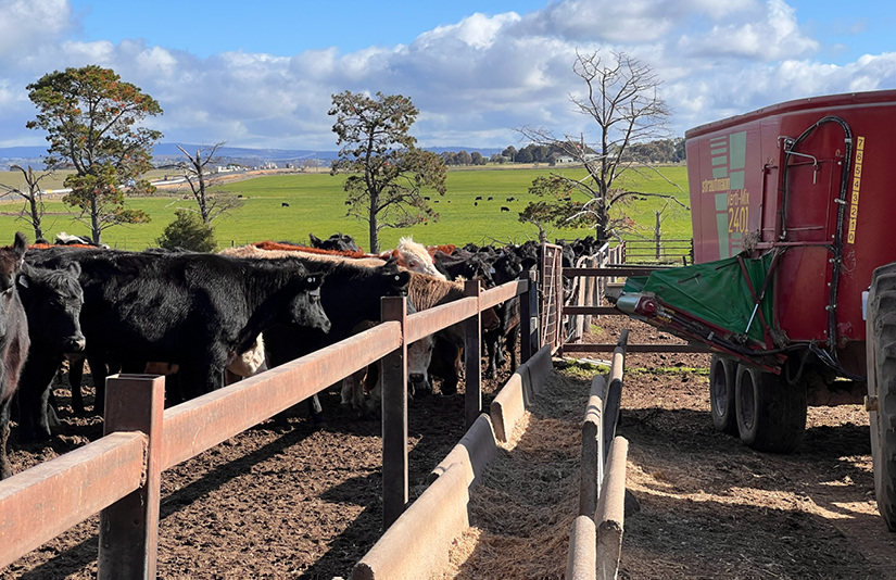 Dairy & Livestock